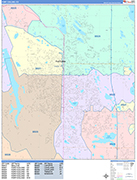 Fort Collins  Wall Map Color Cast Style